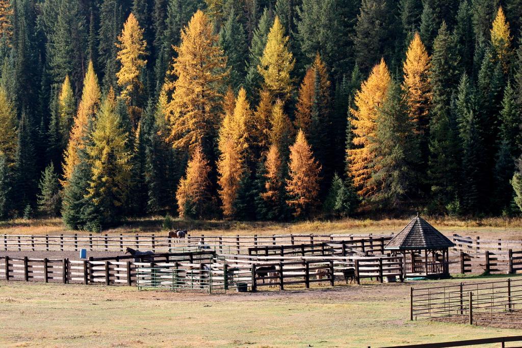 Bar W Guest Ranch Villa Whitefish Exterior foto